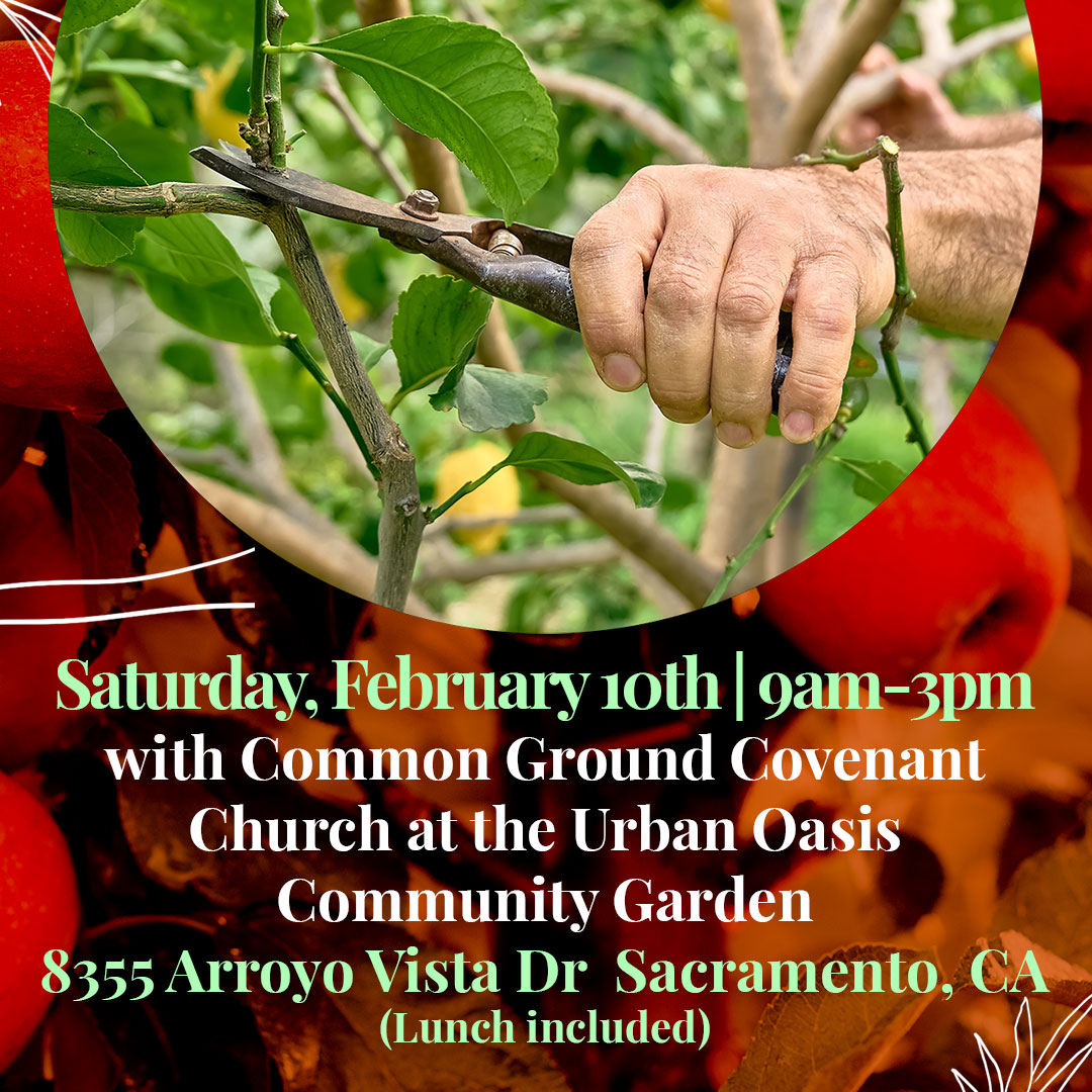 UC Davis WIFSS tweet media