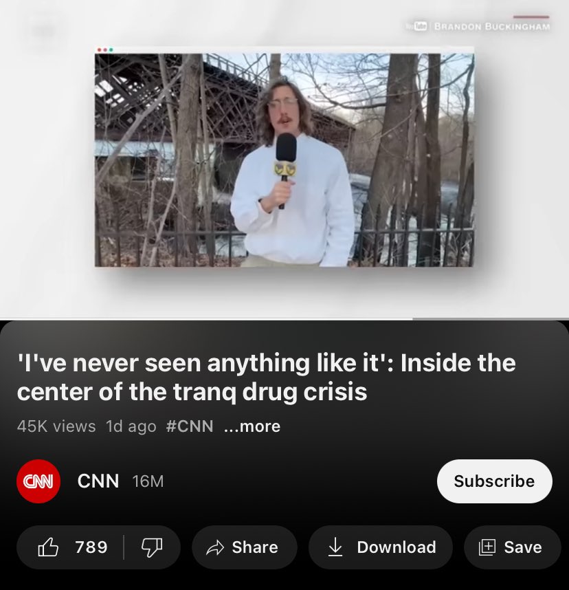 brandon buckingham tweet media