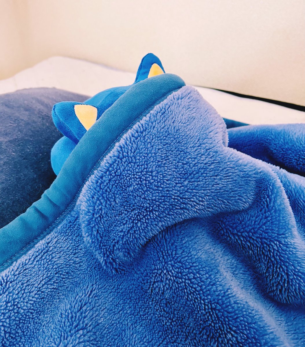 SonicOfficialJP's tweet photo. 本日2月10日は #ふとんの日

暖かいお布団で…思わずｽﾔｧな…
ソニックの…写真で…
癒しを…お届けします…😪😪

それにしても…穏やかな寝顔…😌
夢の中でも走っているのでしょうか…🔵💨

#ソニック https://t.co/WDlkQWWXLq