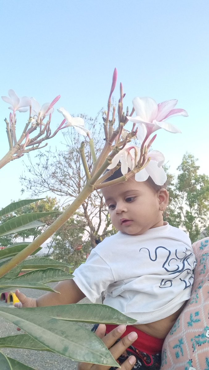 Durga Chaudhari tweet media