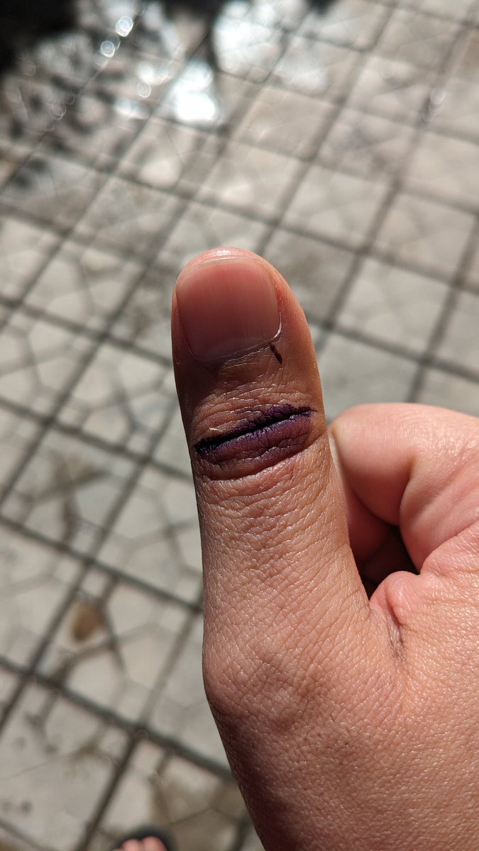 Ek Vari Fer Voted !!!

#Elections2024