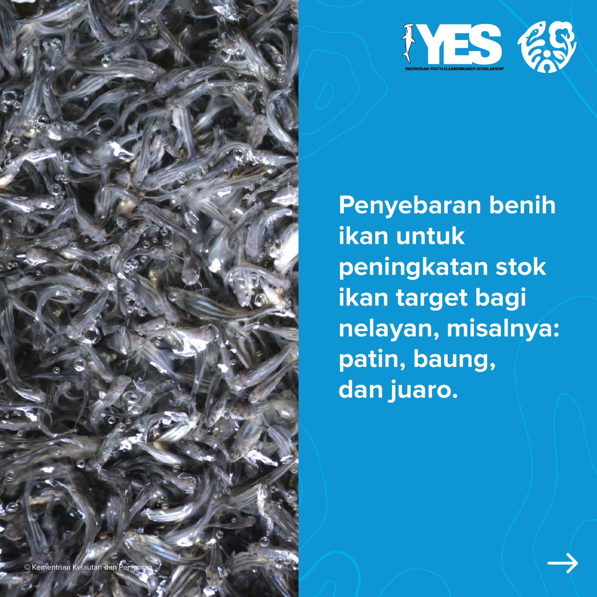 KonservasiID's tweet photo. (1/2) Kasus perdagangan satwa dilindungi masih marak terjadi di Masyarakat. Sedih banget yahโฆ ๐ฅบ
#ManusiaButuhAlam #ProteksidanTransformasi #NaturalClimateSolution #KestabilanIklim #EkologidanEkonomi https://t.co/HqAgF4GGJu