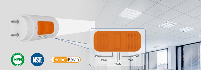 GClightingLED's tweet photo. CCT Select T8 Hybrid (UL Type A+B), Coming Soon!
The Ultimate Retrofitting Solution. https://t.co/eEg11sA2d8 https://t.co/xScSwg1l0Z