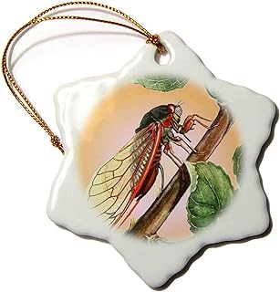 TaicheTees's tweet photo. Please choose the auction Cicada #taiche #3drose #cicada #nature #insect #cicadas #insects #entomology #macro #bugs #bug #summer #insectsofx #oddities #nature #art #wildlifeart #cicadaseason #cicadidae #insectart https://t.co/swiutqTqc8 https://t.co/WfleHF0Il3