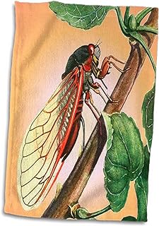 TaicheTees's tweet photo. Please choose the auction Cicada #taiche #3drose #cicada #nature #insect #cicadas #insects #entomology #macro #bugs #bug #summer #insectsofx #oddities #nature #art #wildlifeart #cicadaseason #cicadidae #insectart https://t.co/swiutqTqc8 https://t.co/WfleHF0Il3