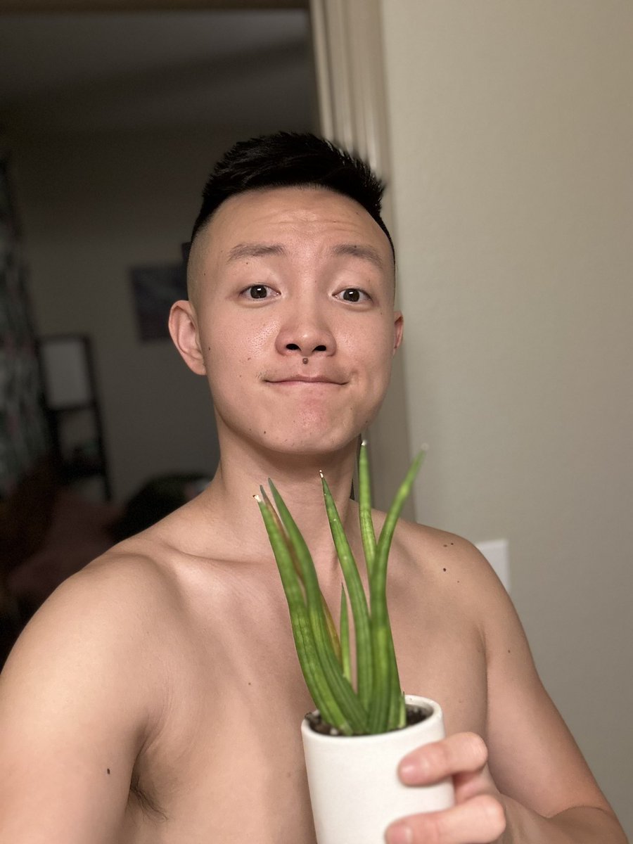 The plant <a href="/LaneClearwater/">Lane</a> gave me is growing, am I a #plantgay now? 🤣