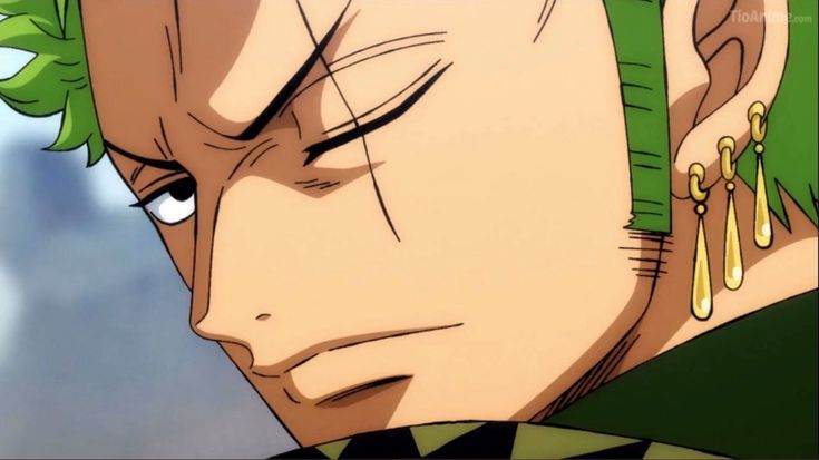 "Am I the only one seeing this Cat wearin' boots?"

@Legendary_Gato