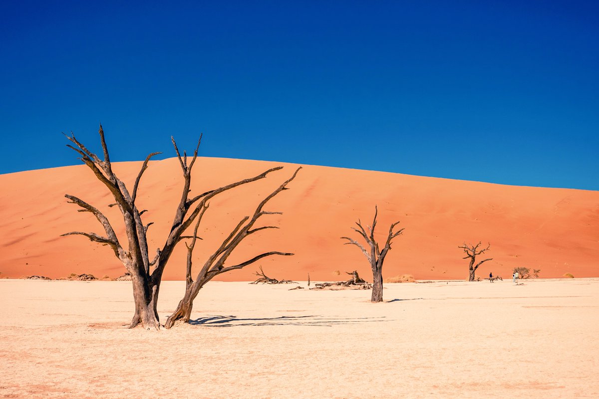 Deadvlei is a white clay pan located near the more famous salt pan of Sossusvlei, in a valley between the dunes in the Namib-Naukluft Park in Namibia. Also written DeadVlei or Dead Vlei, its name means 'dead marsh'. The pan also is referred to as 'Dooie Vlei