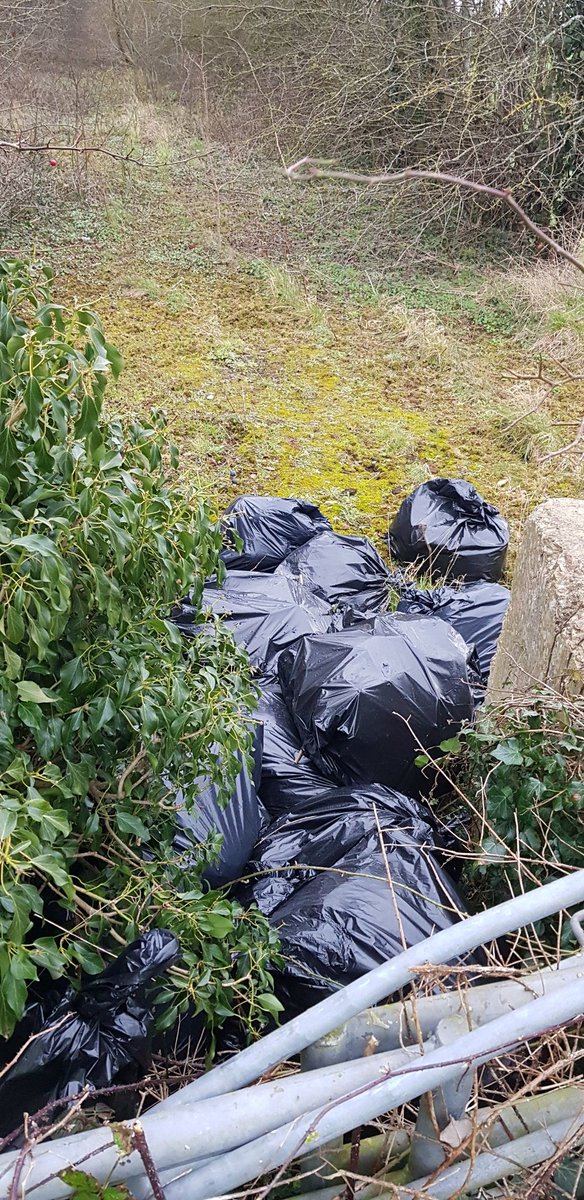 BBullrushes's tweet image. The #flytippers have been busy this week. Almost 50 bags dumped in 2 tips. Well done to @SDDC for removing it so quickly. Last small pieces bagged &amp;amp; hidden #flytip moved to kerbside for collection. Back home to find a flytipped pallet 🙄😡 #lovewhereyoulive @CleanStreetsApp