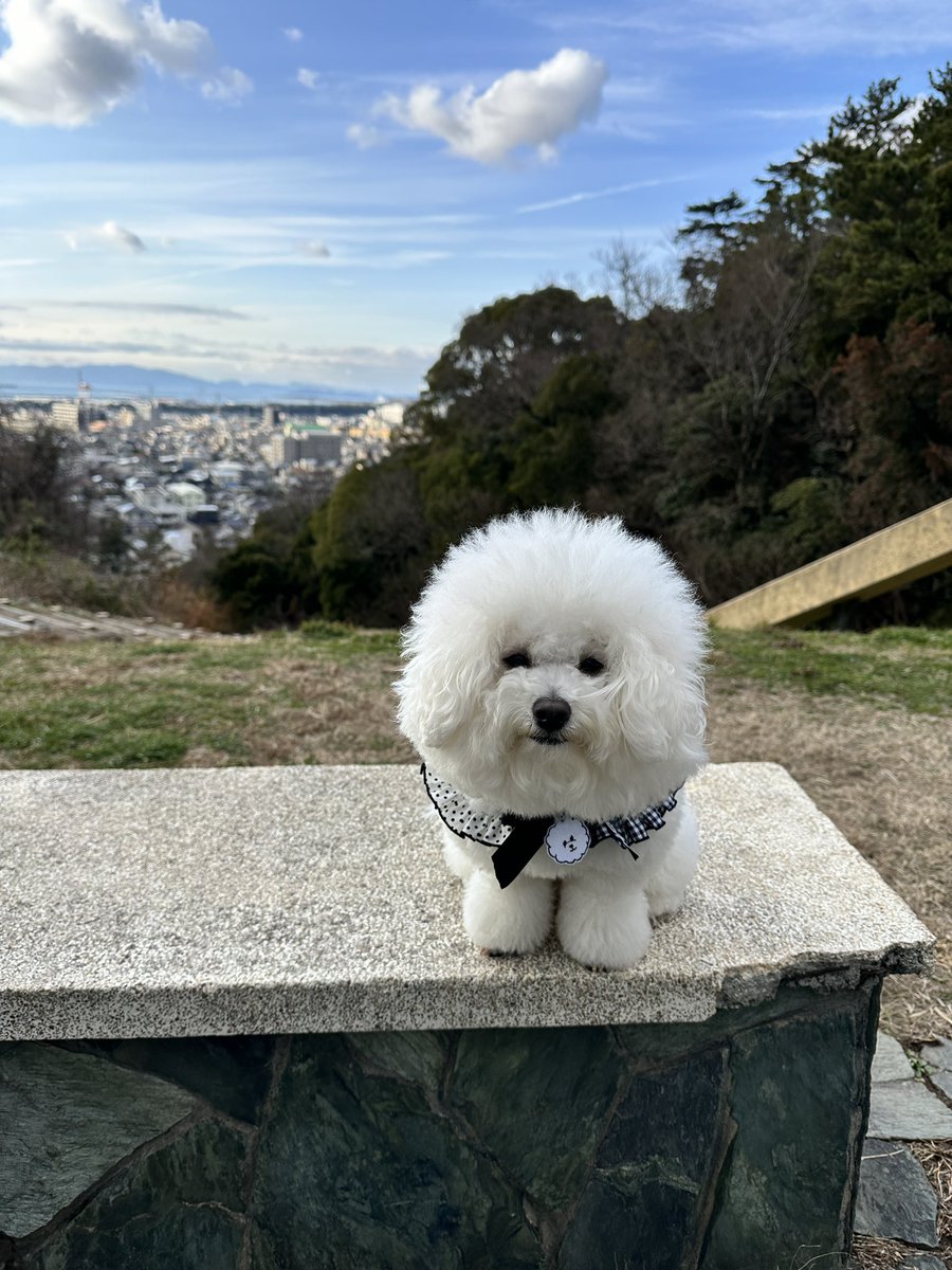 soph0531's tweet photo. いい天気☀️.° https://t.co/CRW8OIgpwe