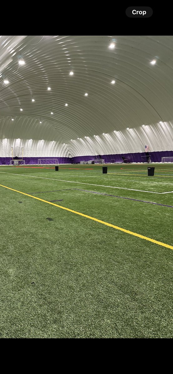 madi watt tweet media