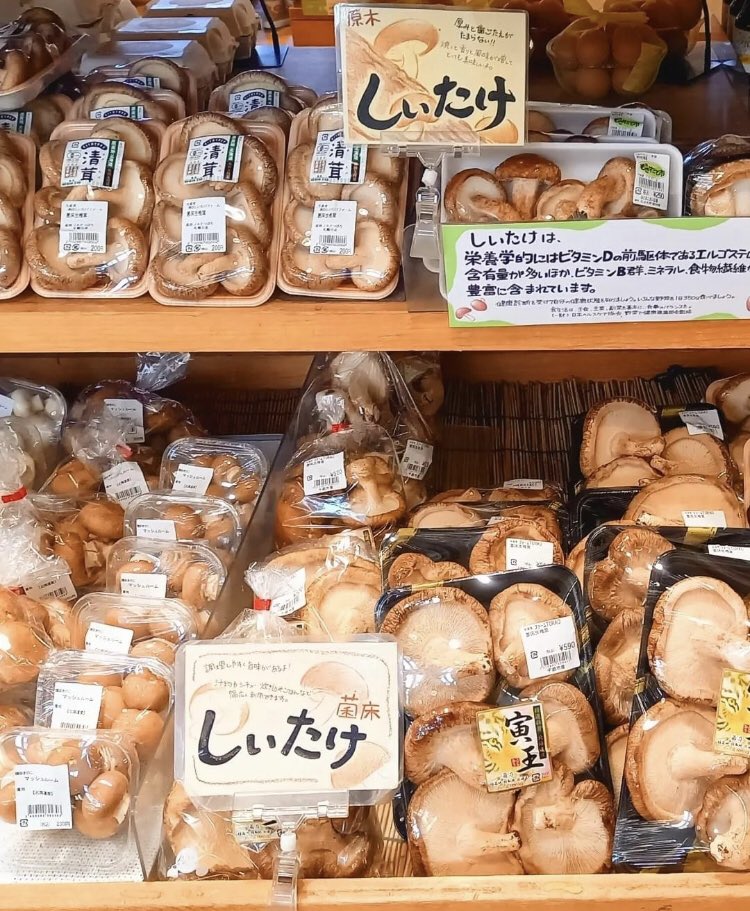 kaza01's tweet photo. 新鮮な野菜が好きです https://t.co/DFrcCo3fbG