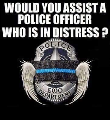 janninereid1's tweet image. I would do absolutely anything I could to help!💯❤🇺🇲