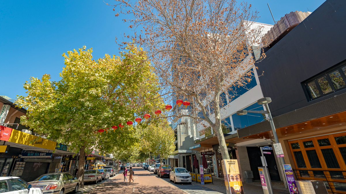 CityofPerth's tweet image. We take tree vandalism seriously here at the City of Perth.  
Trees are incredibly important asset in the City. Not only do they provide an important habitat for wildlife, they help cool the City, improve people’s sense of well-being and create a better environment for all. 

If…