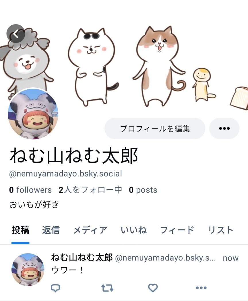 ねむ山ねむ太郎🍟 tweet media