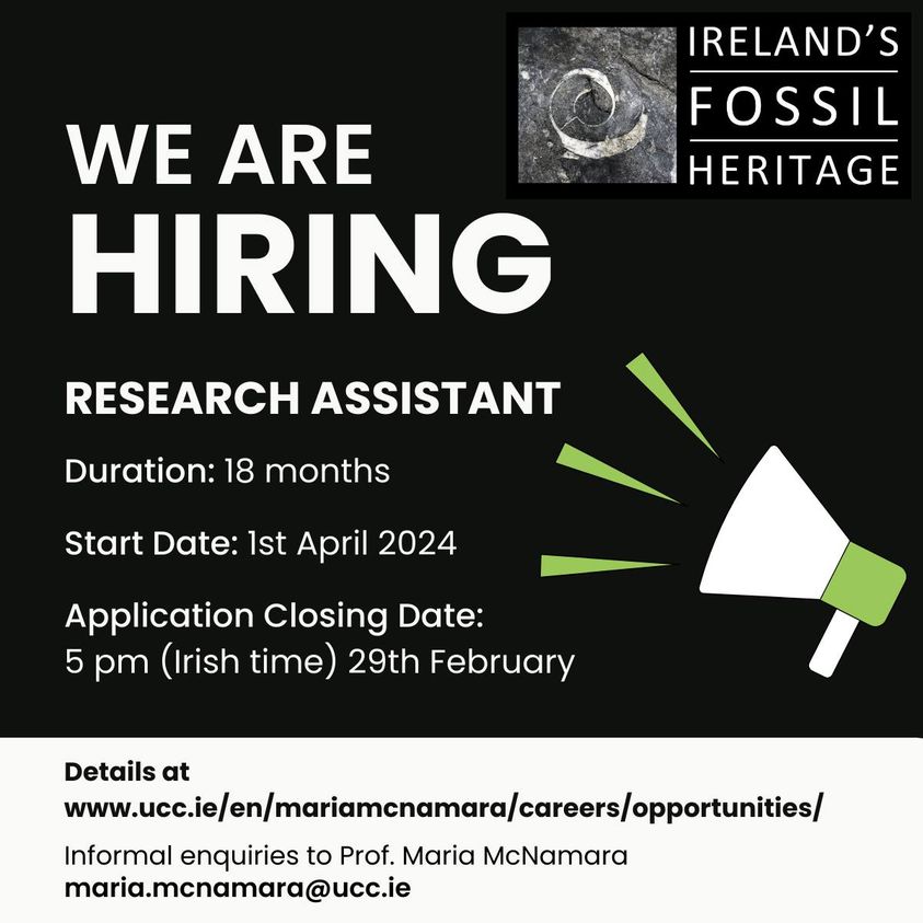 Fossil job alert! We're hiring a Research Assistant for 18 months to support our work in public engagement of palaeontology. Details: ucc.ie/en/hr/vacancie…. Closing date: 5 pm Fri 23 Feb. Informal enquiries to me! maria.mcnamara@ucc.ie. @UCCResearch @iCRAGcentre @ThePalAss