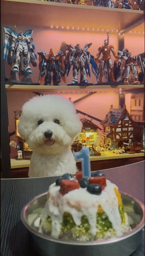 miezaya's tweet photo. 虽然头发没剪好，但生日还是要开心过的 https://t.co/sVf99xjpBy