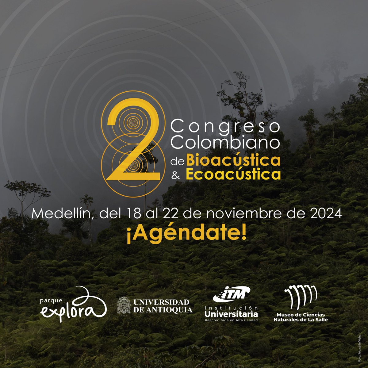 2 Congreso Colombiano de Bioacústica y Ecoacústica (@2ccbe2024) on Twitter photo #2CCBE En noviembre Medellín y Colombia se llenarán de sonidos de la naturaleza. La ciudad y el <a href="/ParqueExplora/">Parque Explora</a> los espera para una intensa semana de academia, artes y fonías. Agenden pues las fechas. ¡Nos vemos pronto!
instagram.com/2ccbe_2024
x.com/2ccbe2024 #2CCBE En noviembre Medellín y Colombia se llenarán de sonidos de la naturaleza. La ciudad y el <a href="/ParqueExplora/">Parque Explora</a> los espera para una intensa semana de academia, artes y fonías. Agenden pues las fechas. ¡Nos vemos pronto!
instagram.com/2ccbe_2024
x.com/2ccbe2024