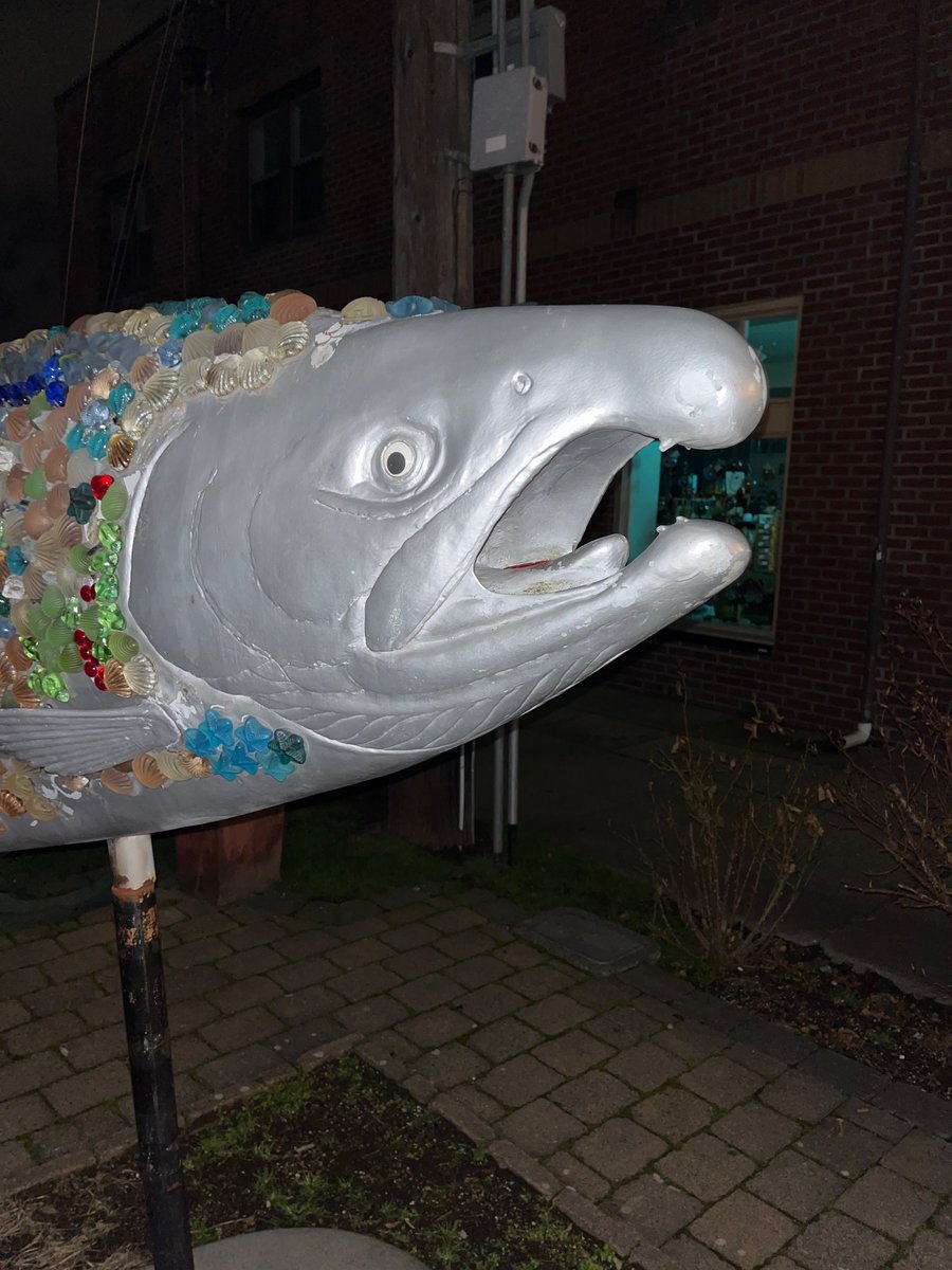 Elise Worthy tweet media