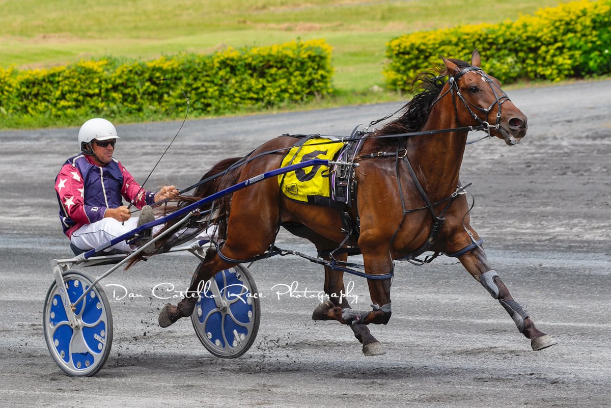 Dan Costello tweet media