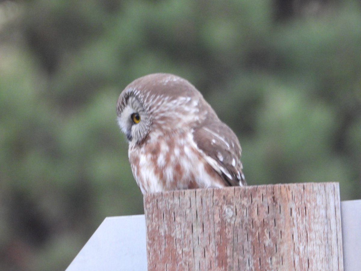 BlogCole's tweet image. 