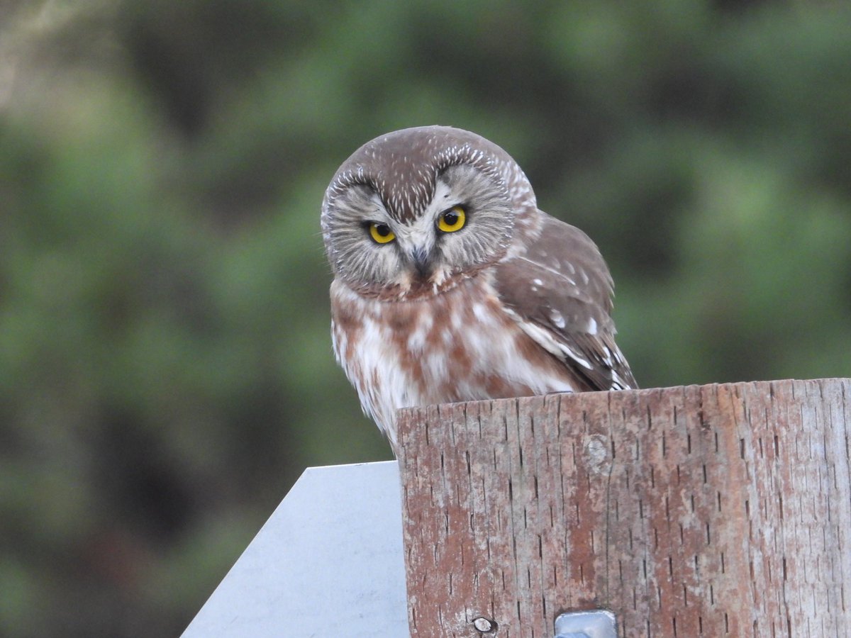 BlogCole's tweet image. 