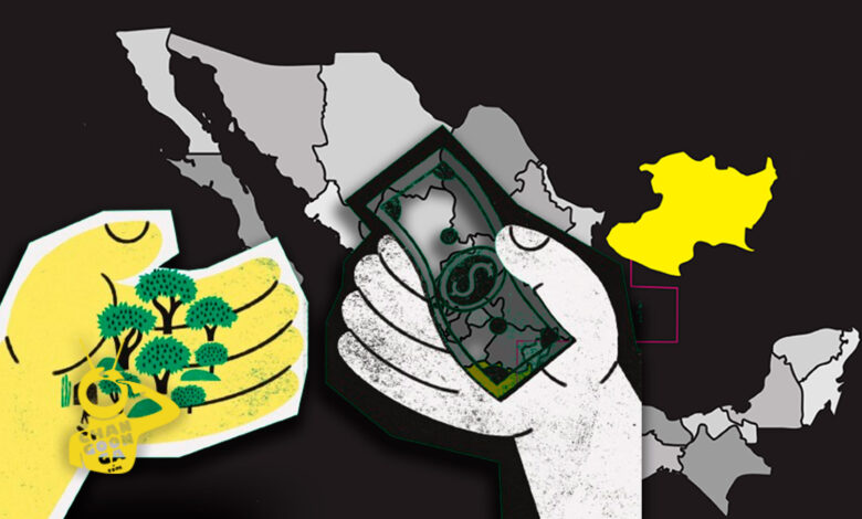 michangoonga's tweet photo. Investigación Internacional Confirma: Cultivo Aguacate En Michoacán Aumentó Por Relación Político- Narcos
La investigación apunta que las conexiones entre la maña y la élite local es pieza clave para calzar sus planes de inversión por "abajo del agua"📷📷📷
Más info:https://t.co/c5H2uOObOf