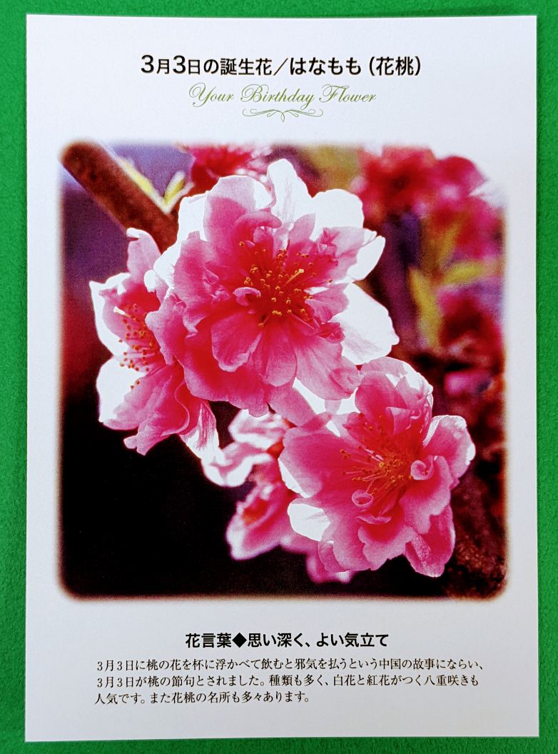 桃 の 花 花 言葉