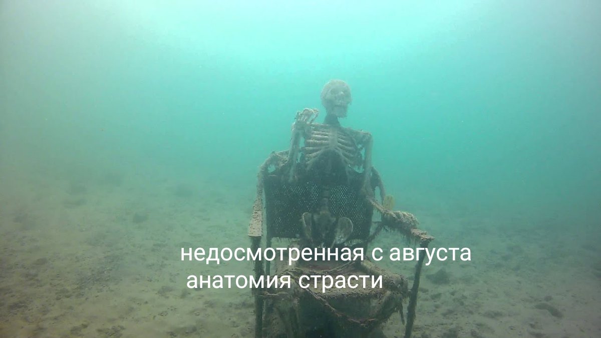 ebanclaus's tweet photo. ну я https://t.co/NUBEyDD3Kl