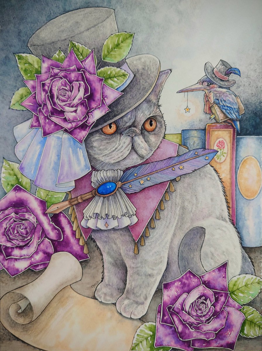 hat no humans flower traditional media purple flower top hat cat  illustration images