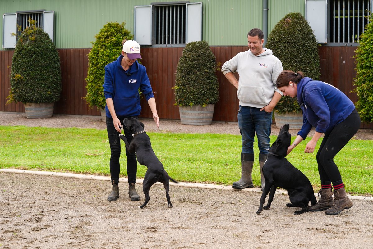 MuskCreekFarm tweet picture