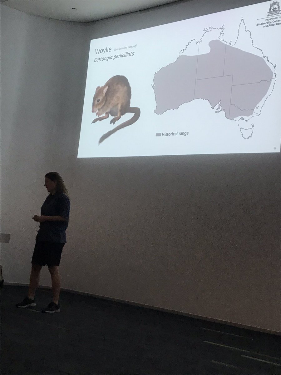 Xenia Münger @xeniamuenger starts off the Genetics & Epidemiology session discussing her investigation of the effectiveness of models in predicting the genetic outcomes of translocation!