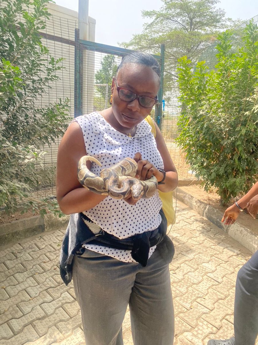 graciousgift001's tweet photo. Diary of a young beautiful veterinarian
#Veterinarian
#wildlife
#snakefarming https://t.co/6dTTdHvTvq