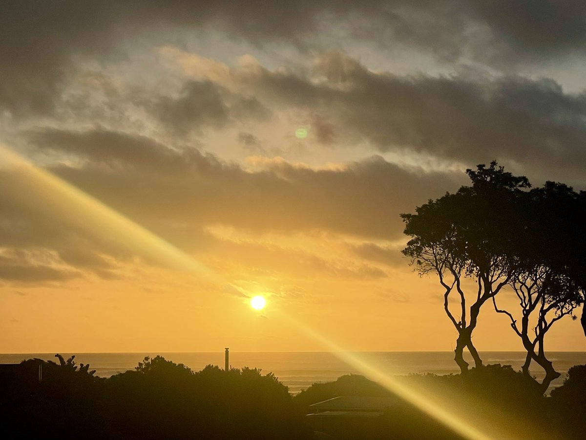 NatashaBarret18's tweet photo. Piha sunset by degrees 🌅

#piha #sunset #westauckland #Auckland #waitakeres #shotoniphone #iphonephotos #iphone12pro https://t.co/wPLmkRh5e6