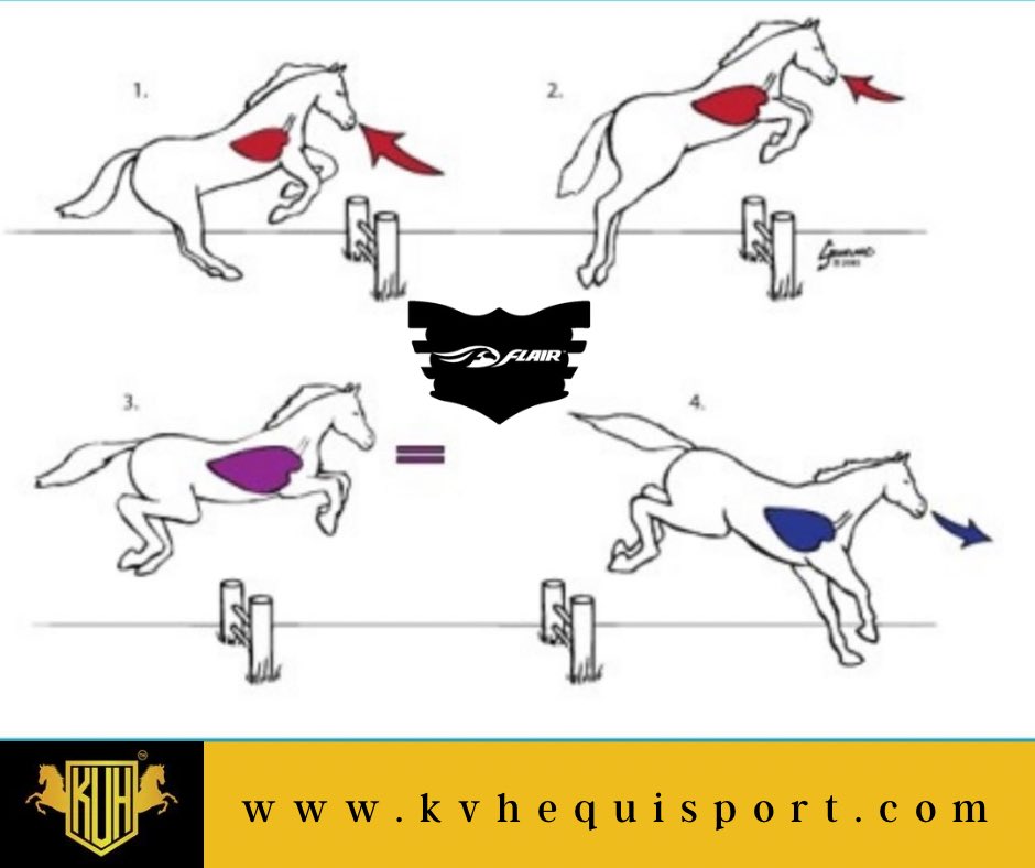 Horses hold their breath while jumping and only resume breathing once they have landed, beginning with an exhalation.

#EquestrianFacts #HorseJumping #EquineScience #HorseBehavior #AthleticHorses #BreathControl #EquestrianSports #HorseFacts #JumpingTechnique #EquineAnatomy