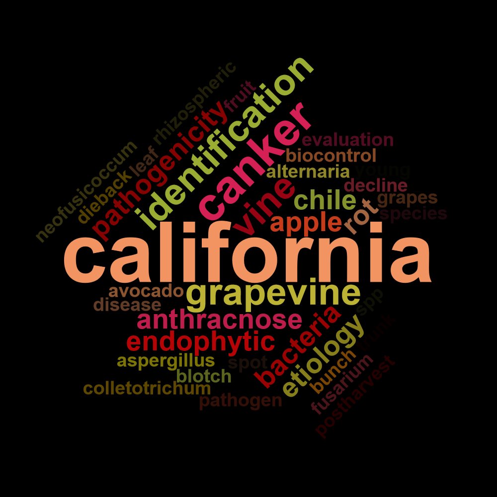 Marcelo Bustamante tweet media