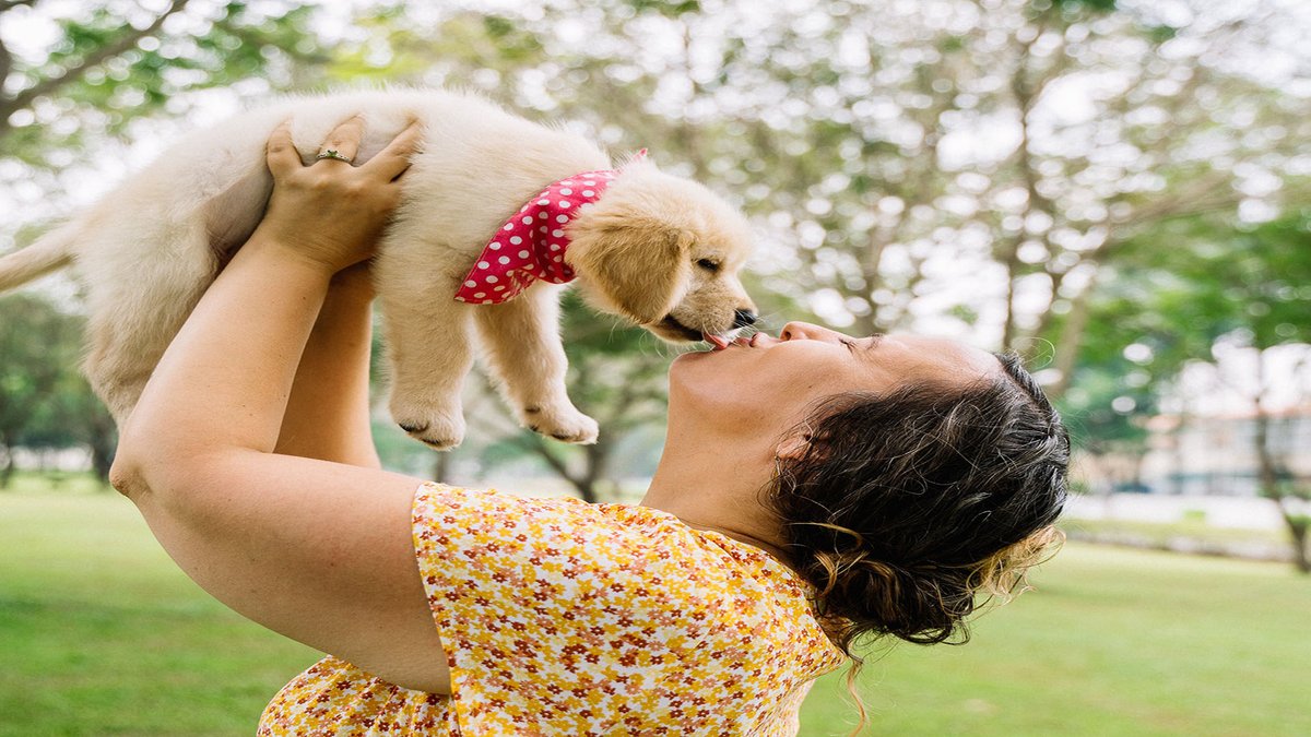 sage_s65739624's tweet photo. Dogs will lick you to show you that they love you and give you kisses, but there are a few additional reasons why you can get a slobbery hand or face. #Dogs #Pets #DogsBehavior #Why_Do_Dogs_Lick_You
https://t.co/8WHvejhYHA https://t.co/tm52broQMf