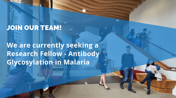 Doherty Institute (@thedohertyinst) on Twitter photo We're hiring! Our Department of Infectious Diseases is seeking an experienced postdoc to contribute to groundbreaking research on malaria immunity and viral infections.
jobs.unimelb.edu.au/en/job/915914/…
<a href="/Nick_E_Scott/">Nichollas Scott</a> <a href="/UniMelbMDHS/">UniMelb MDHS</a> <a href="/TheRMH/">The Royal Melbourne Hospital</a> We're hiring! Our Department of Infectious Diseases is seeking an experienced postdoc to contribute to groundbreaking research on malaria immunity and viral infections.
jobs.unimelb.edu.au/en/job/915914/…
<a href="/Nick_E_Scott/">Nichollas Scott</a> <a href="/UniMelbMDHS/">UniMelb MDHS</a> <a href="/TheRMH/">The Royal Melbourne Hospital</a>