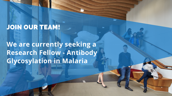 We're hiring! Our Department of Infectious Diseases is seeking an experienced postdoc to contribute to groundbreaking research on malaria immunity and viral infections. jobs.unimelb.edu.au/en/job/915914/… @Nick_E_Scott @UniMelbMDHS @TheRMH