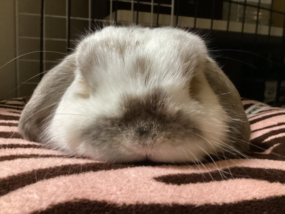 みっちゃん✕2 みっちゃん✕2 みっちゃん (@mi.zx4r.ch) • Instagram photos