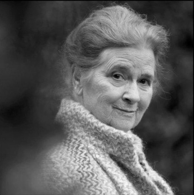 Opera with Opera News tweet media