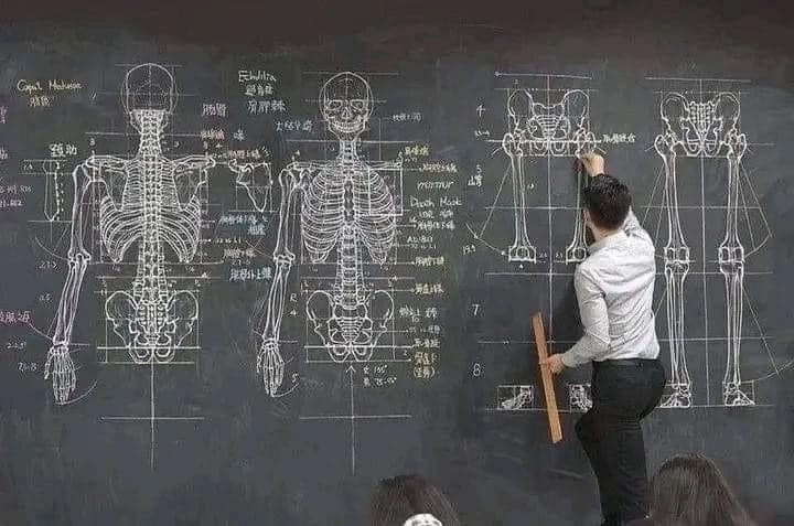 EnsedeCiencia's tweet photo. Un maestro en Taiwán enseña anatomía con sus habilidades avanzadas de dibujo.

¡Increíble! 🤯 https://t.co/kE0iWSlDfa