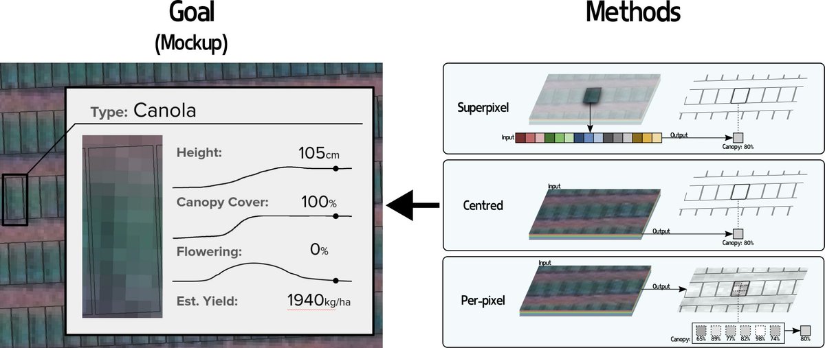 RemoteSens_MDPI's tweet image. #LatestPaper
📢High-Throughput Plot-Level Quantitative Phenotyping Using #ConvolutionalNeuralNetworks on Very High-Resolution #Satellite Images by Brandon Victor, Aiden Nibali, Saul Justin Newman, Tristan Coram et al

mdpi.com/2072-4292/16/2…
#agriculture #vegetation