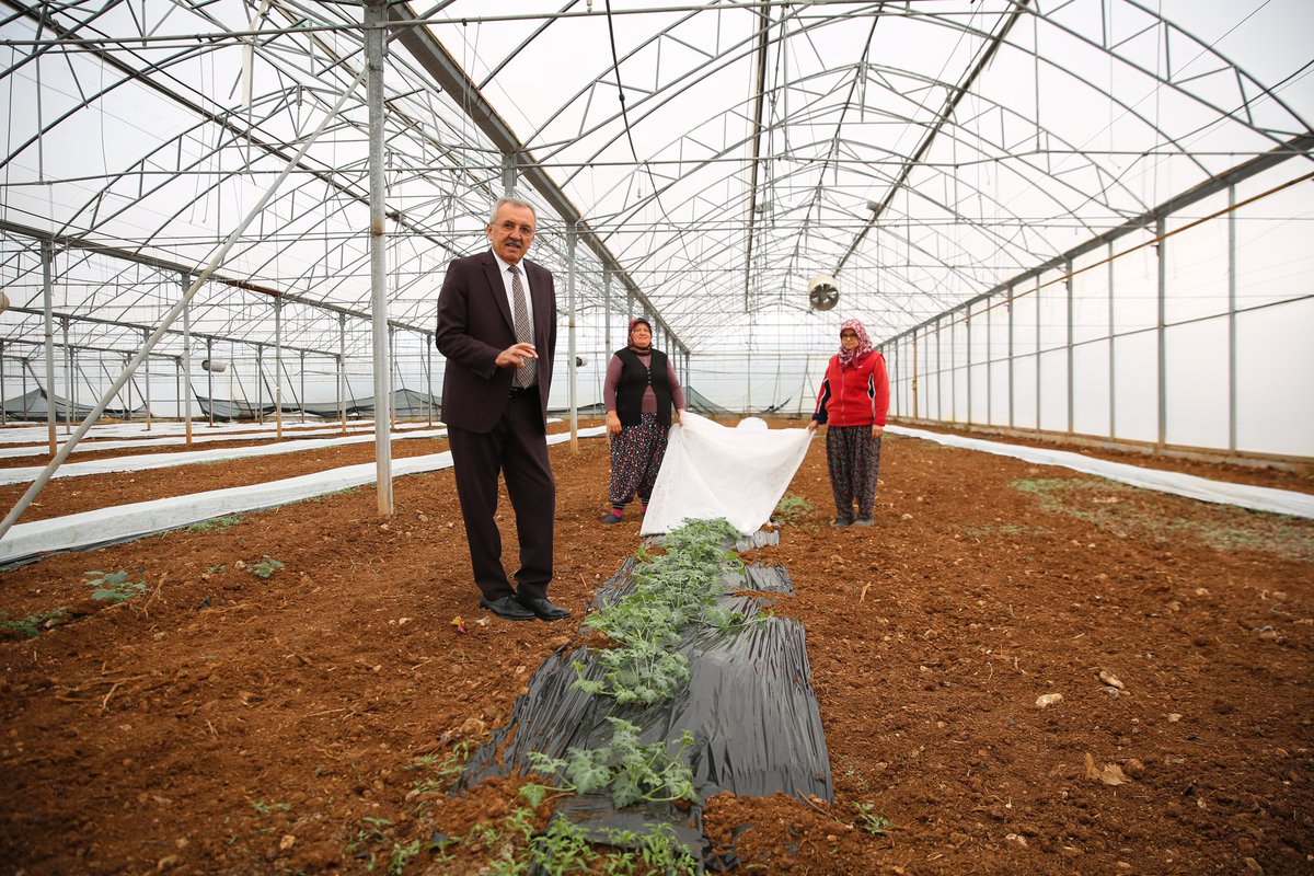 📍Çandır Mahallesi

Serik Belediyesi Sebze, Meyve ve Süs Bitkileri Üretim Alanı

#ÜretenBelediye