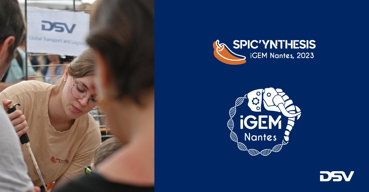 DSV_FR's tweet photo. DSV Air and Sea en France a soutenu le travail d'une équipe de 16 étudiants de IGEM fermement décidés à faire avancer la science.

Retrouvez toutes leurs aventutres https://t.co/kHmNMrIXNB

#DSVFrance #IGEMNantes #Healthcare https://t.co/szLPkQCEPe