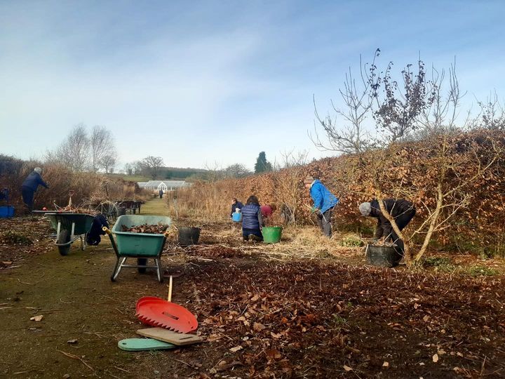 We’re welcoming the return of our garden-volunteers this week in anticipation of our March opening. They’ve set about cutting back and tackling the weeds. Our garden doesn’t feel the same without people in it, so it’s great to have them back.