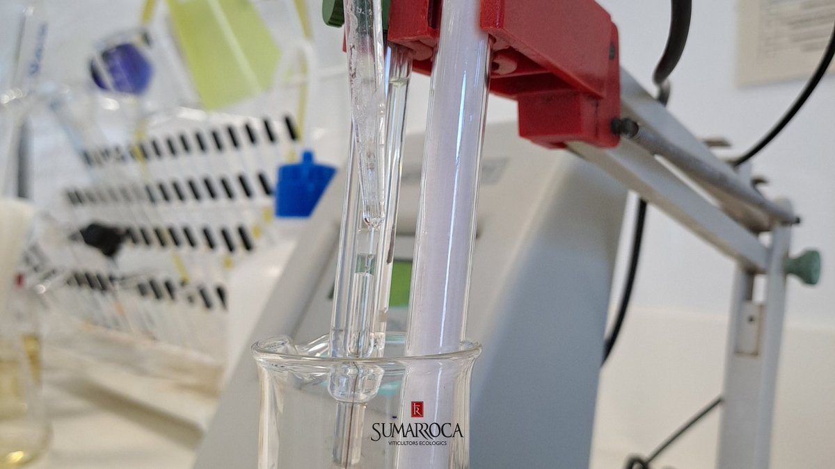 BSumarroca's tweet photo. 🧪Els controls rutinaris de qualitat són una part vital en el procés de vinificació. Setmanalment, a través de les anàlisis, es comproven els dipòsits per tal d'assegurar que la qualitat és l'esperada. 🕵️‍♂️🍷

#lab #ecological #organic #wine #cava #bubbles #cavatime #winelover https://t.co/g7VDgDG0fZ