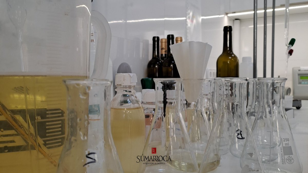 🧪Els controls rutinaris de qualitat són una part vital en el procés de vinificació. Setmanalment, a través de les anàlisis, es comproven els dipòsits per tal d'assegurar que la qualitat és l'esperada. 🕵️‍♂️🍷

#lab #ecological #organic #wine #cava #bubbles #cavatime #winelover