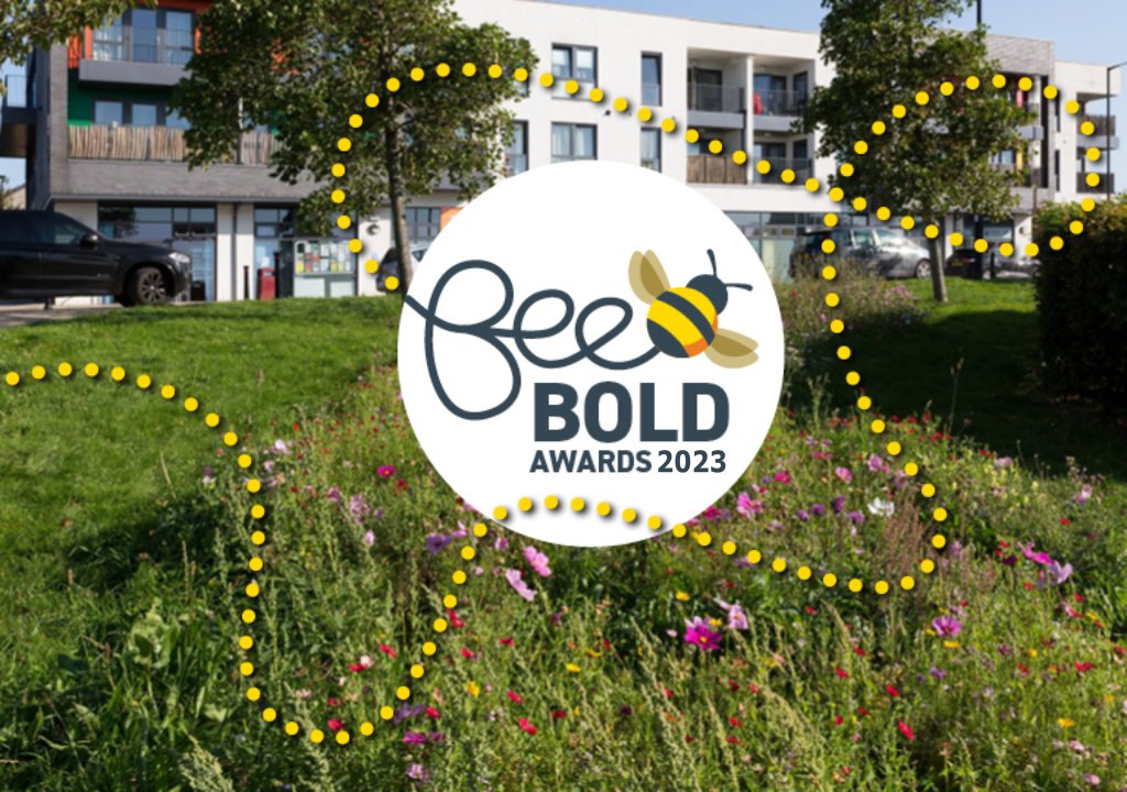 InvestinBathnes's tweet image. Join the @WestofEnglandCA and regional businesses this Wednesday 5:00pm-7:00pm at Osborne Clarke to launch the Bee Bold Awards 24🏆

This initiative supports the West of England’s vision to become the Pollinator Capital of the UK♻️

Request a ticket: shorturl.at/szDJZ🎫