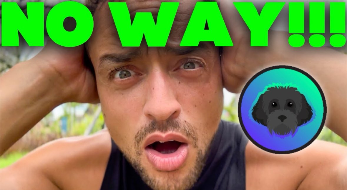 Myro | Solana Chain 🐕‍🦺 tweet media